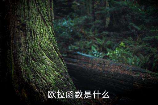 歐拉函數是什么