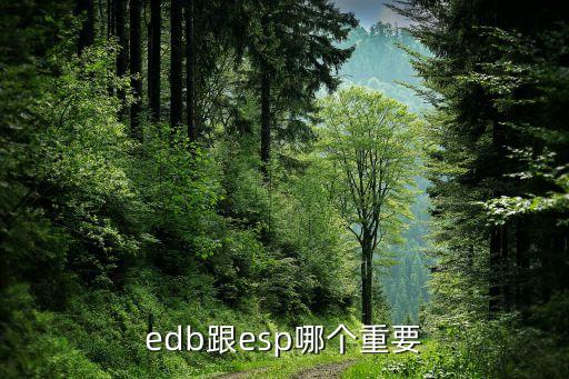 edb跟esp哪個重要