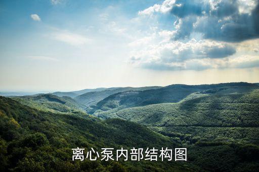 離心泵內(nèi)部結(jié)構(gòu)圖