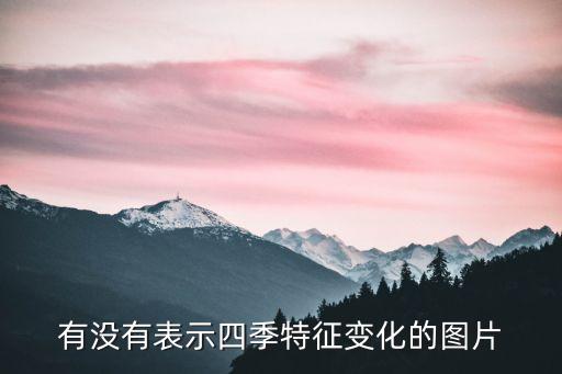 有沒有表示四季特征變化的圖片