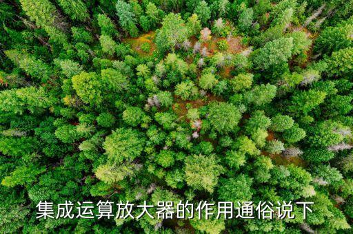 集成運算放大器的作用通俗說下
