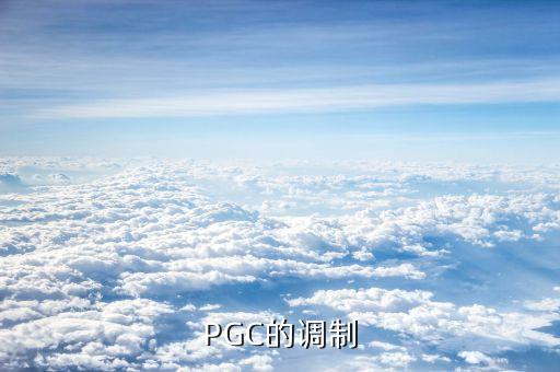 PGC，PgC的具體含義