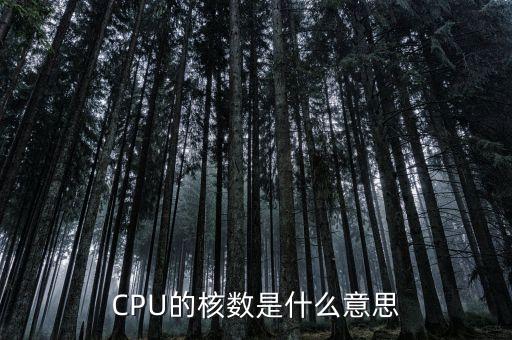 CPU的核數(shù)是什么意思