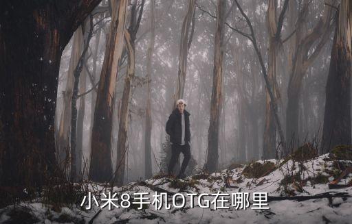 小米8手機OTG在哪里