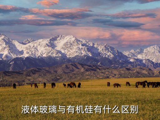 有機硅是什么東西，液體玻璃與有機硅有什么區(qū)別
