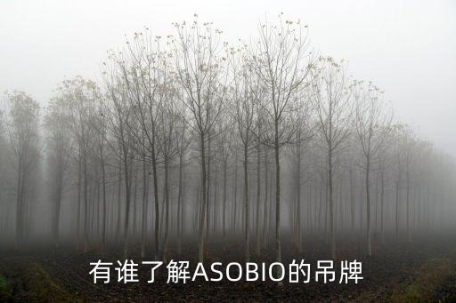 有誰了解ASOBIO的吊牌