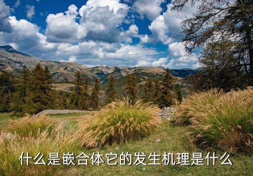 什么是嵌合體它的發(fā)生機(jī)理是什么