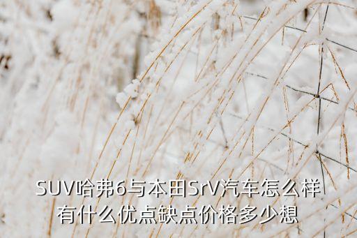 srv6，別克賽歐srv16頂配這個二手車值多少錢