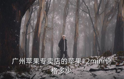 廣州蘋果專賣店的蘋果12mini價(jià)格多少
