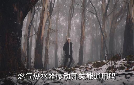 燃?xì)鉄崴魑娱_關(guān)能通用嗎