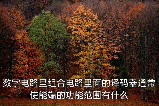 數(shù)字電路里組合電路里面的譯碼器通常使能端的功能范圍有什么