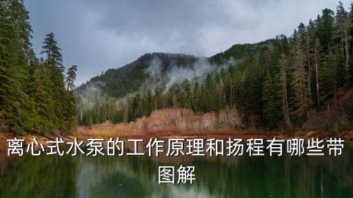 離心式水泵的工作原理和揚(yáng)程有哪些帶圖解