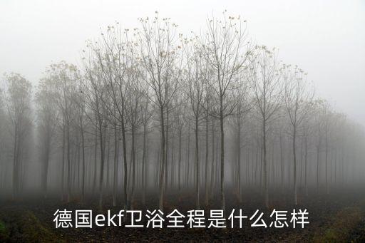 德國ekf衛(wèi)浴全程是什么怎樣