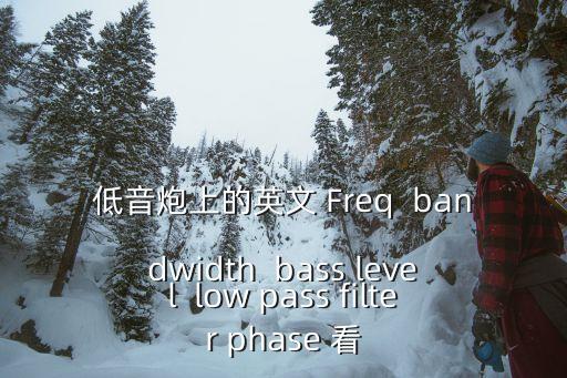 低音炮上的英文 Freq  bandwidth  bass level  low pass filter phase 看