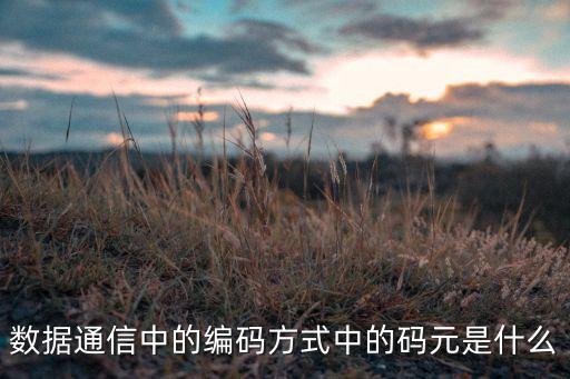 數(shù)據(jù)通信中的編碼方式中的碼元是什么