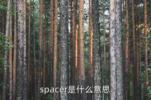 spacer是什么意思