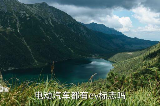新能源車車標(biāo)，重慶牌電動(dòng)汽車的車標(biāo)是什么樣的