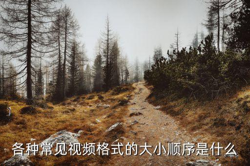 常用視頻格式，最常見(jiàn)的視頻格式有那些