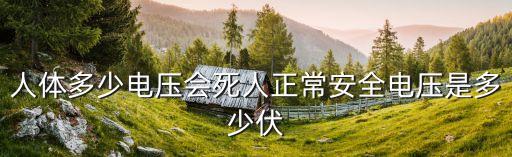 人體多少電壓會死人正常安全電壓是多少伏