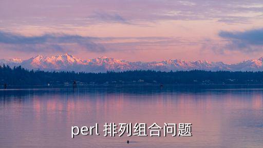 perl 排列組合問題
