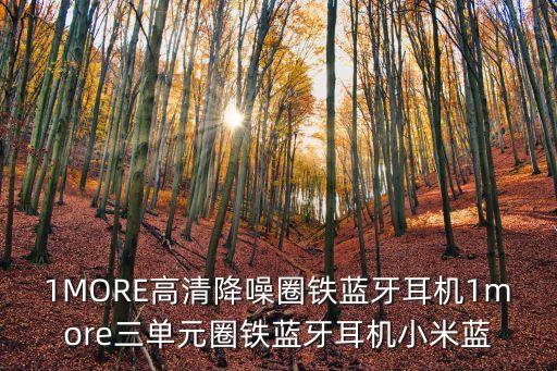 1MORE高清降噪圈鐵藍(lán)牙耳機(jī)1more三單元圈鐵藍(lán)牙耳機(jī)小米藍(lán)