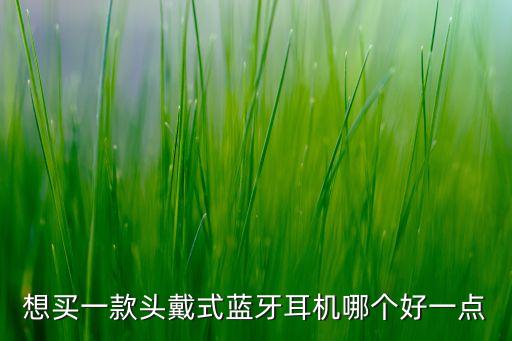 想買一款頭戴式藍(lán)牙耳機(jī)哪個(gè)好一點(diǎn)