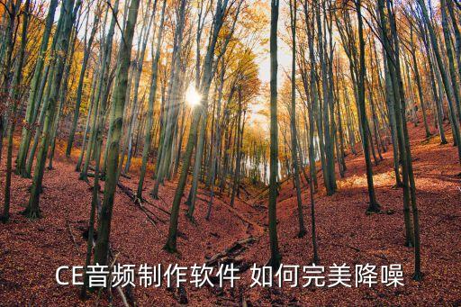 enc降噪，福特銳界anc主動降噪系統(tǒng)是什么意思