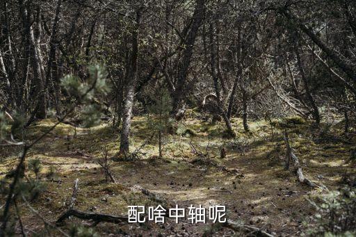 配啥中軸呢