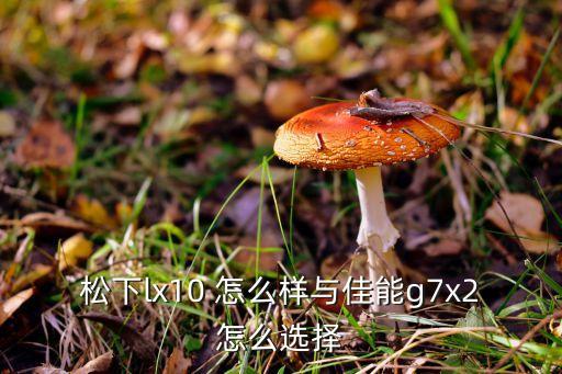 松下lx10 怎么樣與佳能g7x2怎么選擇