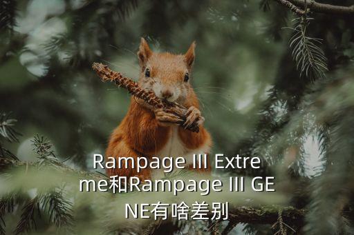 Rampage III Extreme和Rampage III GENE有啥差別