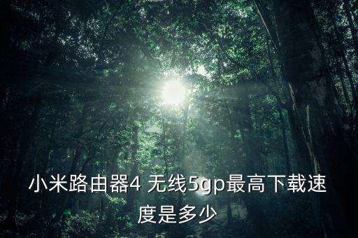 小米路由器4 無(wú)線5gp最高下載速度是多少