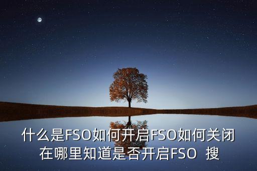 fso，F(xiàn)SO是為什么服務(wù)的FSO上的油輸?shù)侥膬喝? /></a><a href=