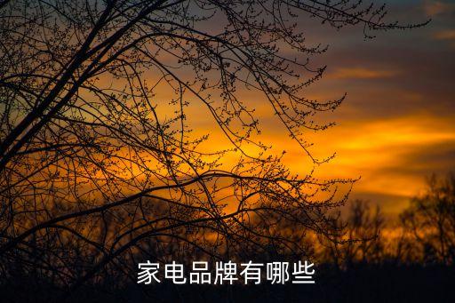 家電品牌有哪些