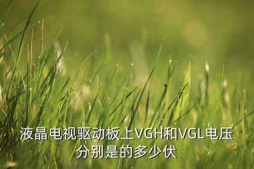 液晶電視驅(qū)動(dòng)板上VGH和VGL電壓分別是的多少伏