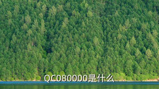 QC080000是什么