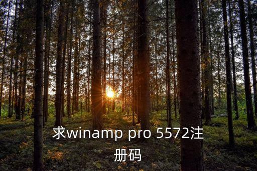 求winamp pro 5572注冊碼