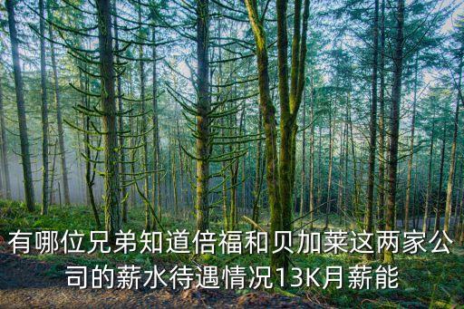 有哪位兄弟知道倍福和貝加萊這兩家公司的薪水待遇情況13K月薪能