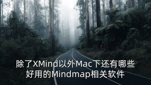 除了XMind以外Mac下還有哪些好用的Mindmap相關(guān)軟件