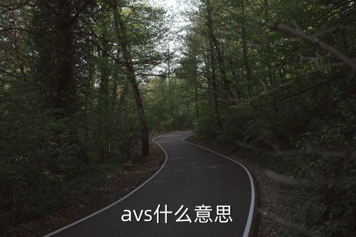 avs，什么是AVS標(biāo)準(zhǔn)