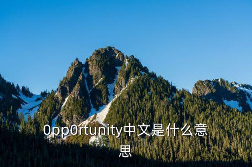 0pp0rtunity中文是什么意思
