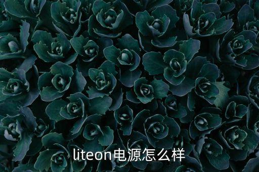 萊福德電源，hopely的電源是什么牌子的