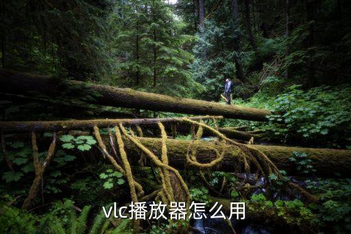 vlc播放器怎么用