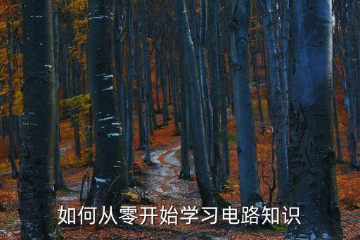 如何從零開始學(xué)習(xí)電路知識