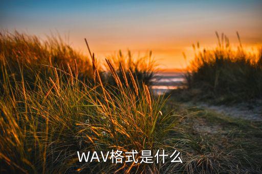 WAV格式是什么