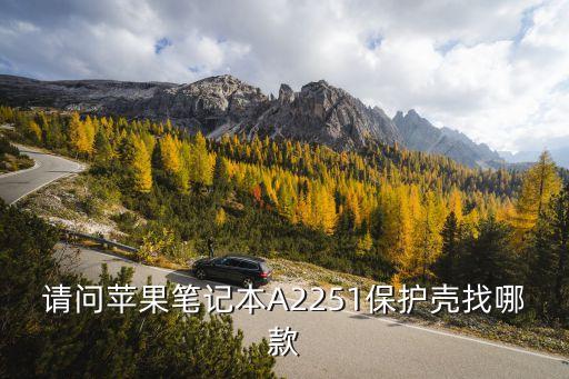 請問蘋果筆記本A2251保護殼找哪款