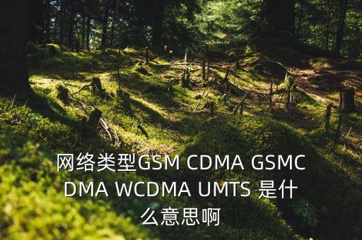 網(wǎng)絡(luò)類型GSM CDMA GSMCDMA WCDMA UMTS 是什么意思啊