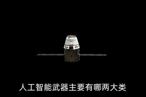 人工智能武器主要有哪兩大類