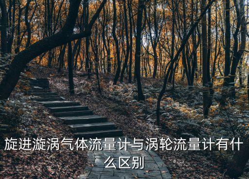 旋進(jìn)漩渦氣體流量計(jì)與渦輪流量計(jì)有什么區(qū)別