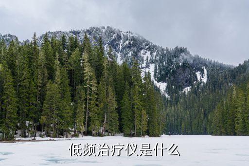 低頻治療儀是什么