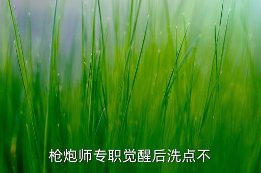 槍炮師專職覺醒后洗點不